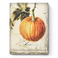 Pumpkin T619 - Sid Dickens Memory Block