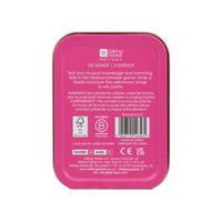 Fun in a Tin - Kazoo Karaoke Game