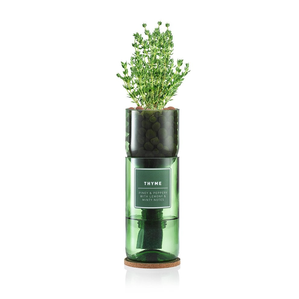 Hydro-Herb Kit : Thyme