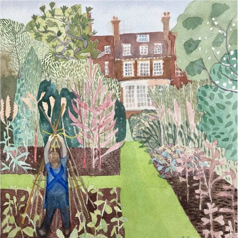 'Tidying the Dicotyledon Beds, Chelsea Physic Garden'- Framed Watercolour