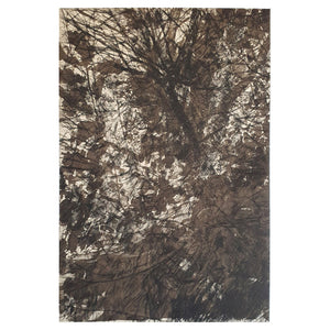 'Understory' Etching, Unframed