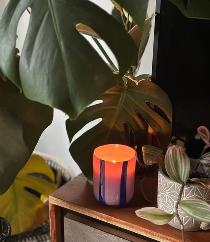 Atina Candle | Blackcurrant and Oudh