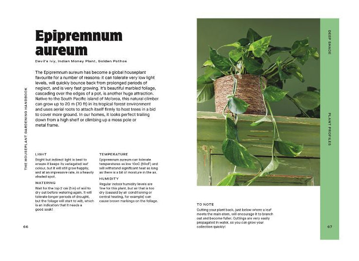 Houseplant Handbook