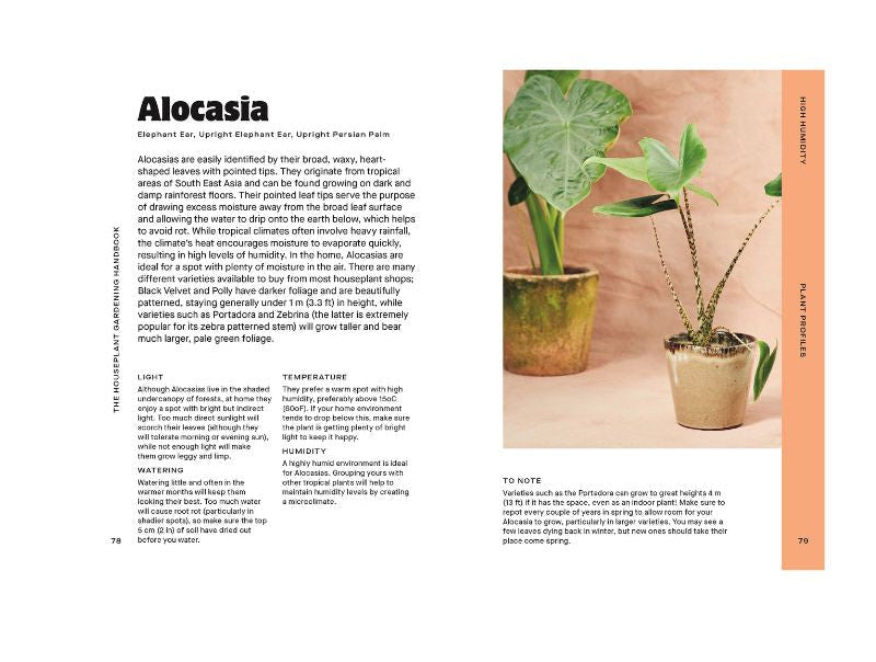 Houseplant Handbook