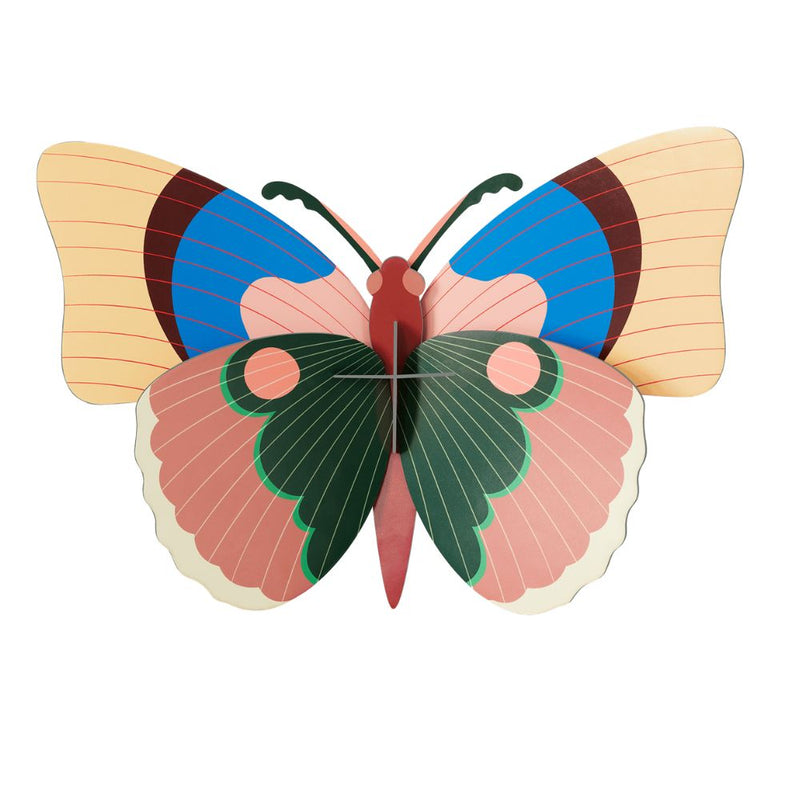 Giant Cepora Butterfly