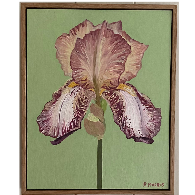 Iris 'Benton Arundel', Oil Painting, Framed