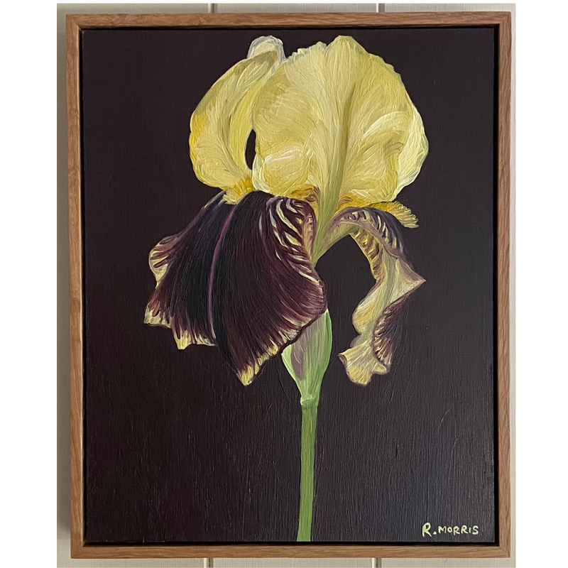 Iris 'Rajah' IV, Oil Painting, Framed