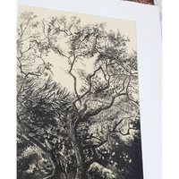 'Westonbirt Oak' Etching, Unframed, Artist Proof