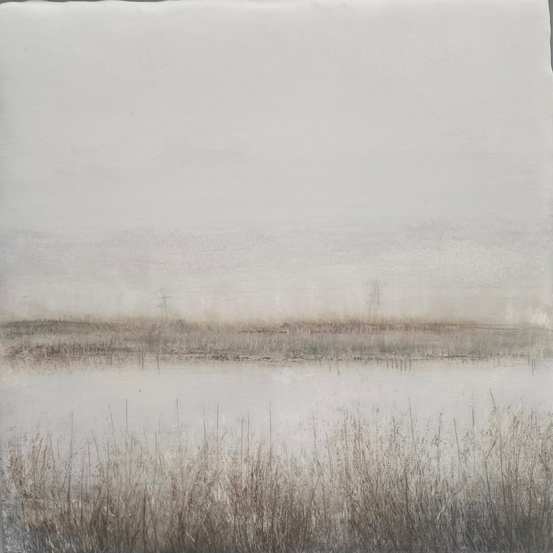 'Wetlands' by Anna Boss