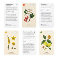 Wild Alchemy Lab: An Astro-botanical Remedy Deck of Cards
