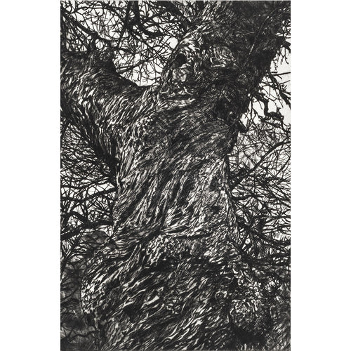 'Winter Chestnut' Etching, Framed or Unframed