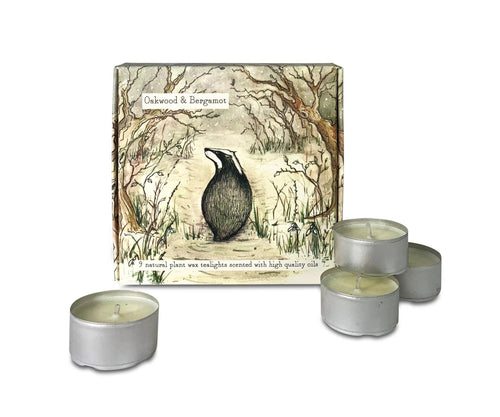 Box of Scented Tealights: Oakwood & Bergamot - Badger Design