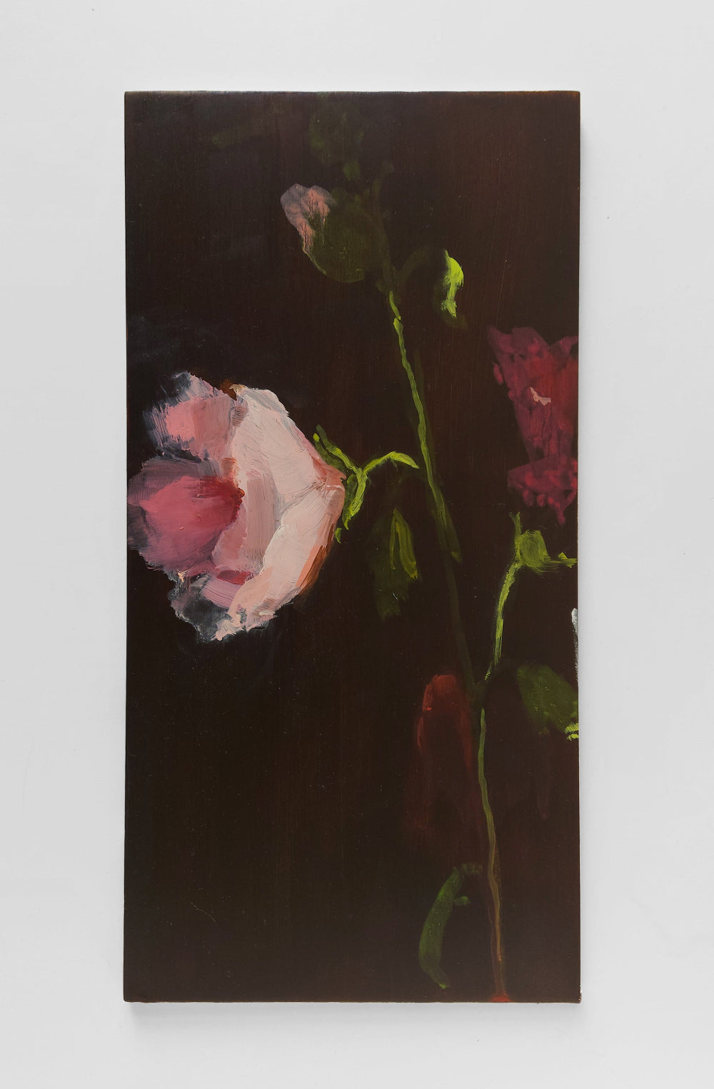 'Hellebore II' Oil on board, Framed