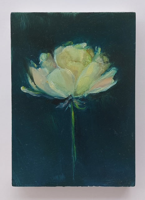 'Ranunculus (New Moon)' Oil on board, Framed