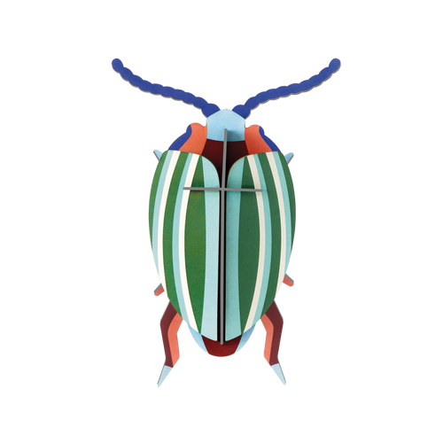 Rainbow Beetle Wall Art