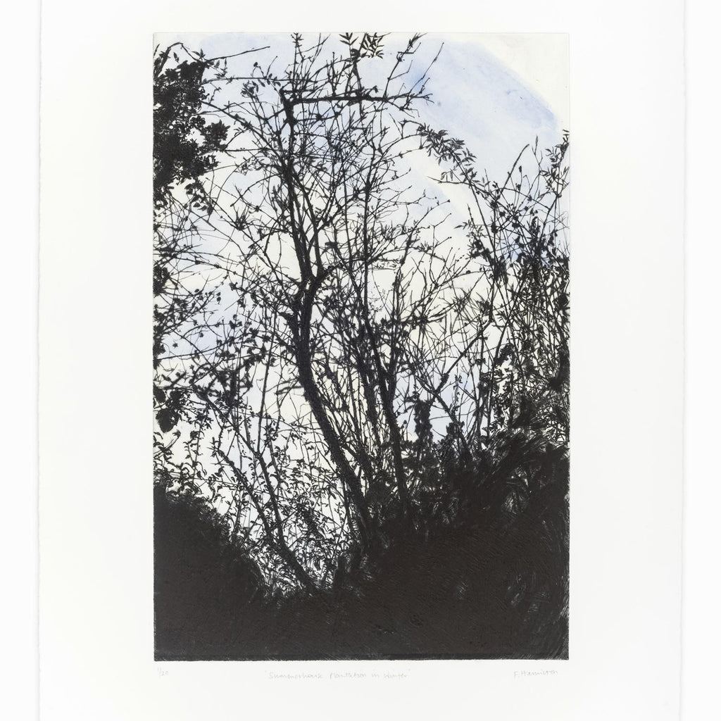 'Summer House Plantation In Winter' Etching, Unframed
