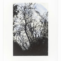 'Summer House Plantation In Winter' Etching, Unframed