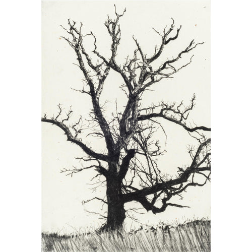 'Winter Abscission' Etching, Unframed