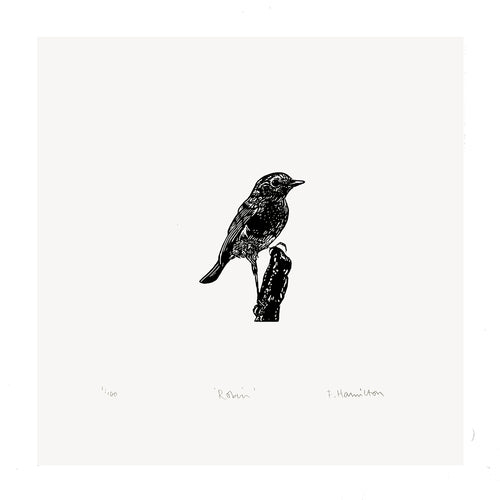 'Robin' Wood Engraving, Framed or Unframed