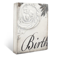 Birth T306 - Sid Dickens Memory Block