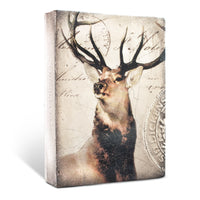 King of The Forest T349 - Sid Dickens Memory Block