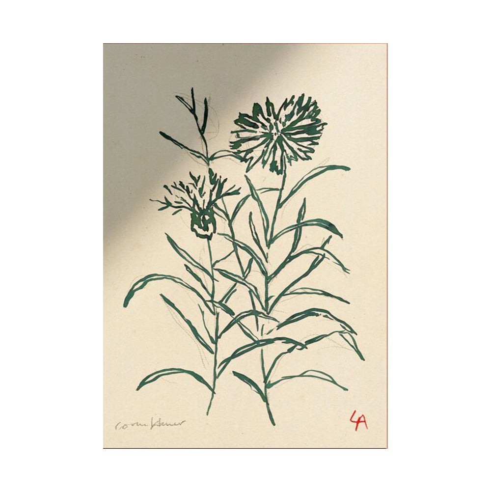 'Cornflower' Art Print
