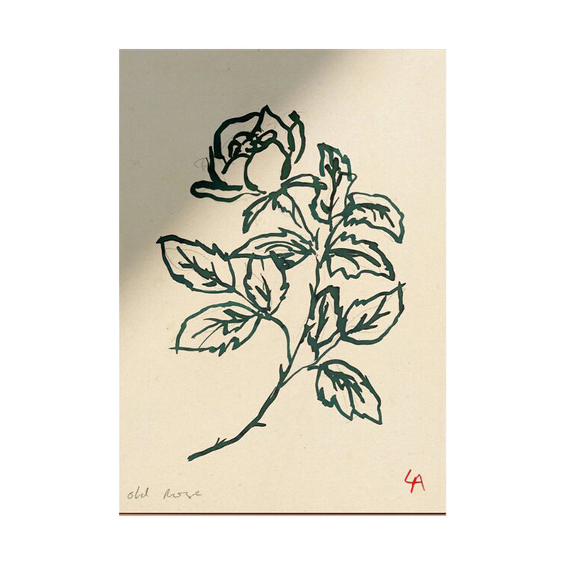 'Old Rose' Art Print