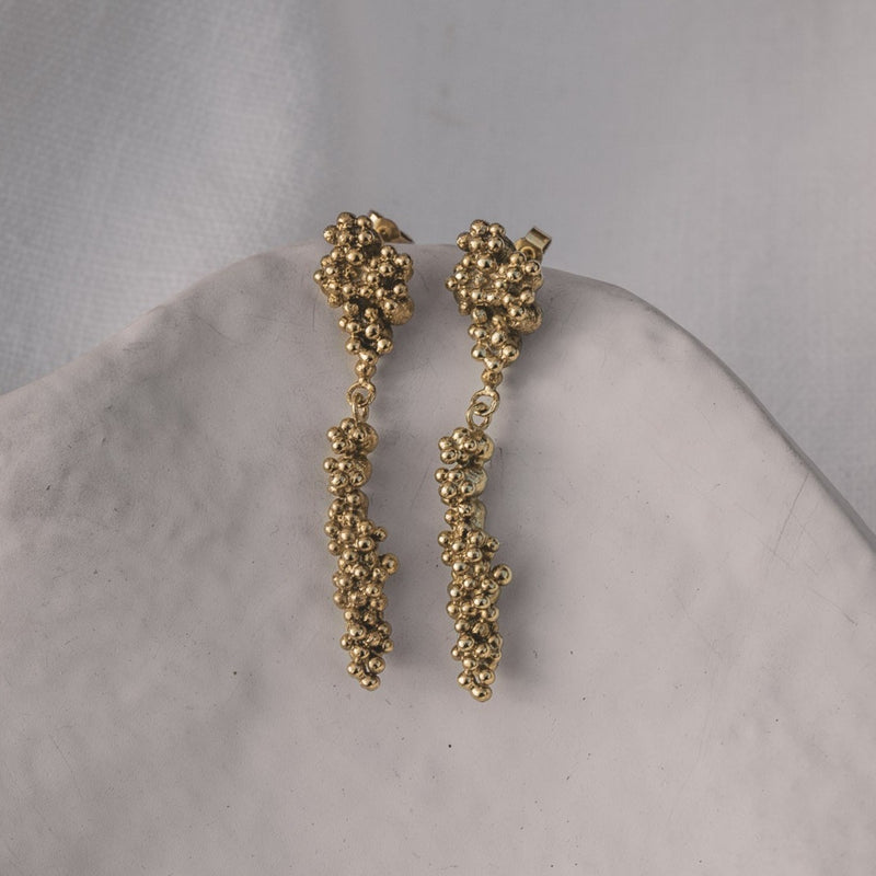 Barnacle Drop Studs, Gold Plated