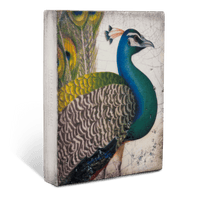 Fabled Bird T287 - Sid Dickens Memory Block