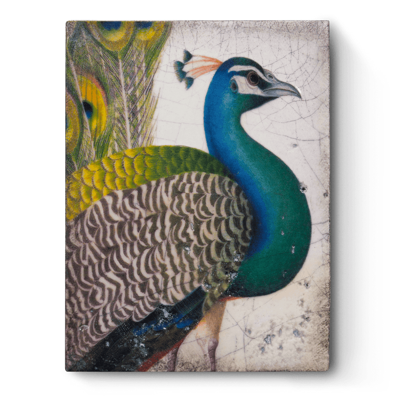 Fabled Bird T287 - Sid Dickens Memory Block