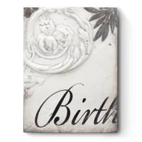 Birth T306 - Sid Dickens Memory Block