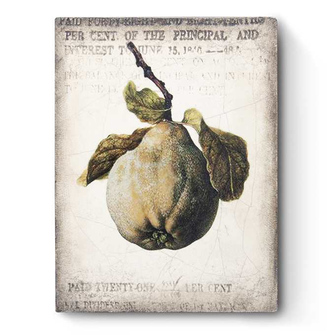 Ancient Pear T430 - Sid Dickens Memory Block