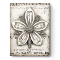 Cosmopolitan Flower T449 - Sid Dickens Memory Block