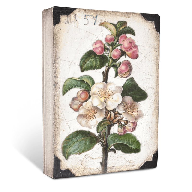 Apple Blossom T462 - Sid Dickens Memory Block