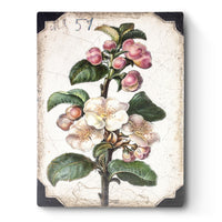 Apple Blossom T462 - Sid Dickens Memory Block