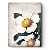 White Blossoms T487 - Sid Dickens Memory Block