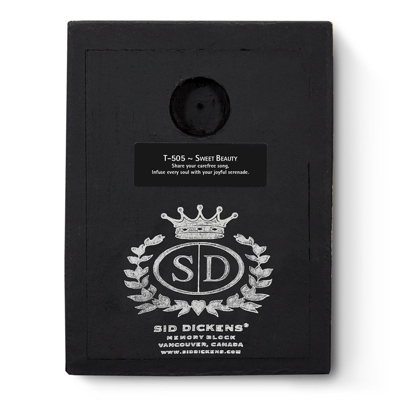 Sweet Beauty T505 - Sid Dickens Memory Block