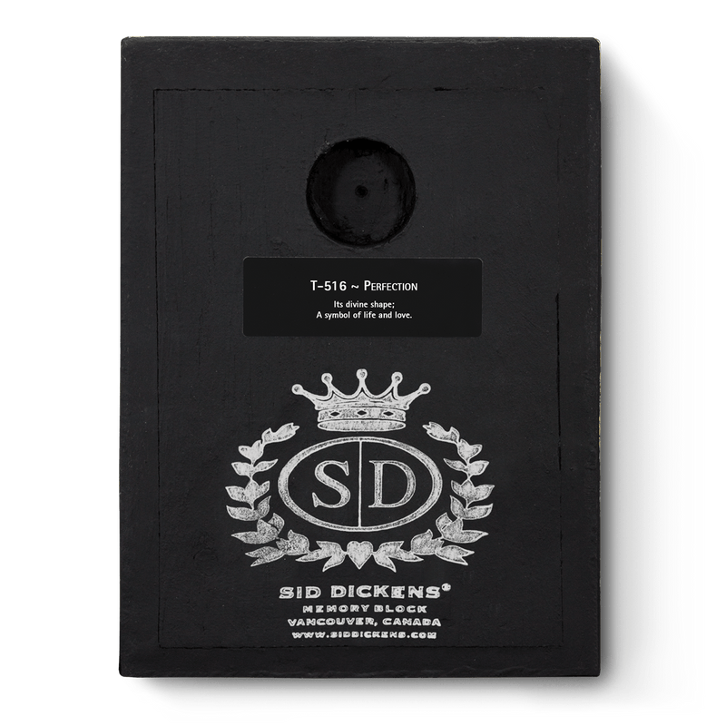 Perfection T516 - Sid Dickens Memory Block