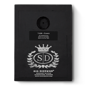 Clematis T528 - Sid Dickens Memory Block