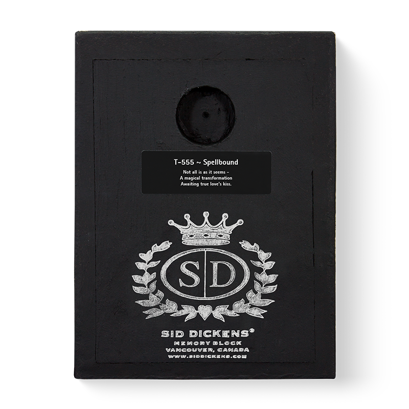 Spellbound T555 - Sid Dickens Memory Block